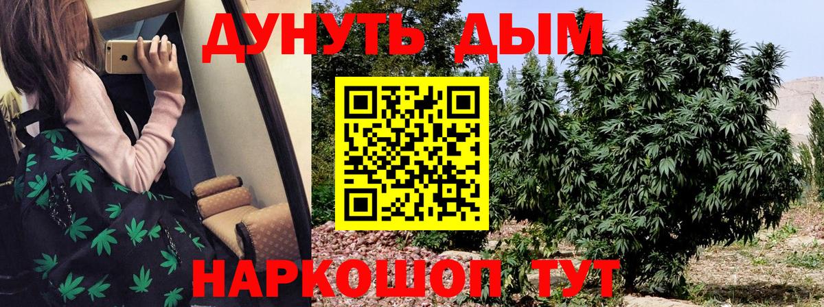 Конопля марихуана Гуково